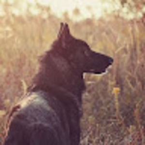 Meet your Posher, Butter boy